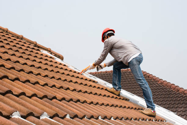 Best Hot Roofs  in Justice, IL