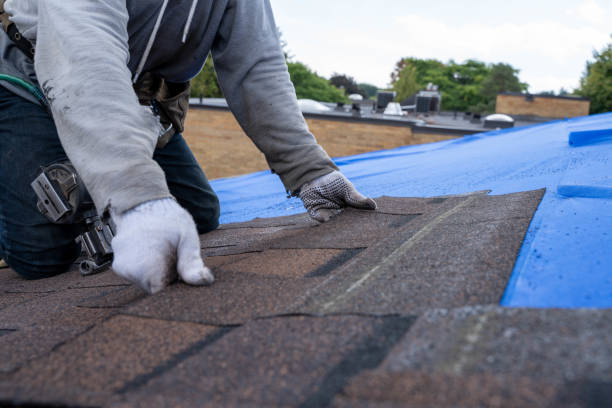 Best Roof Insulation Installation  in Justice, IL